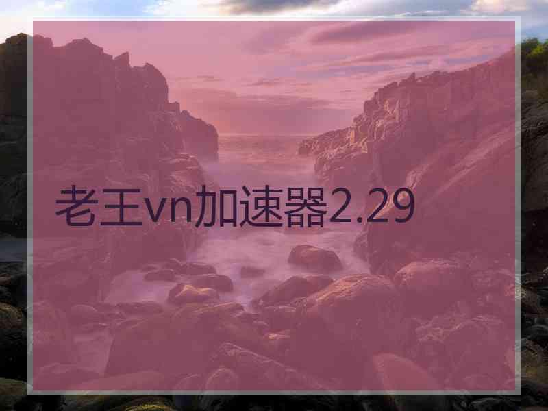 老王vn加速器2.29