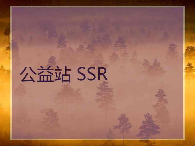 公益站 SSR