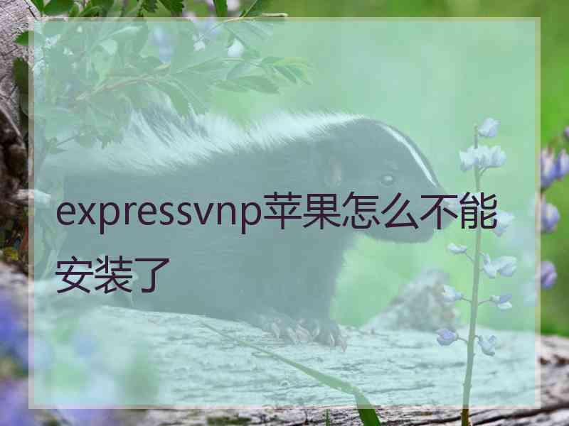 expressvnp苹果怎么不能安装了