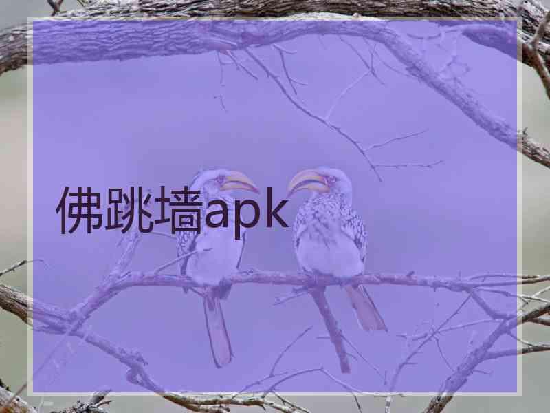 佛跳墙apk