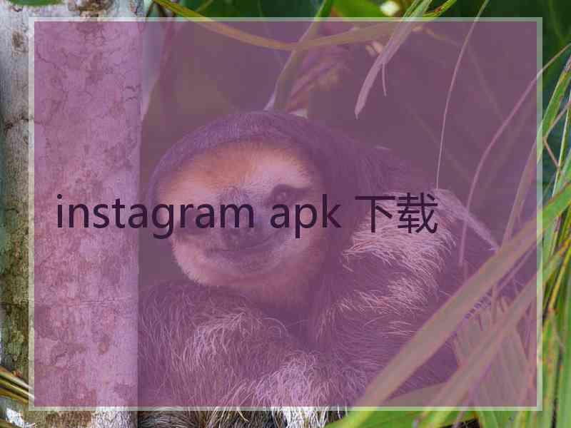 instagram apk 下载