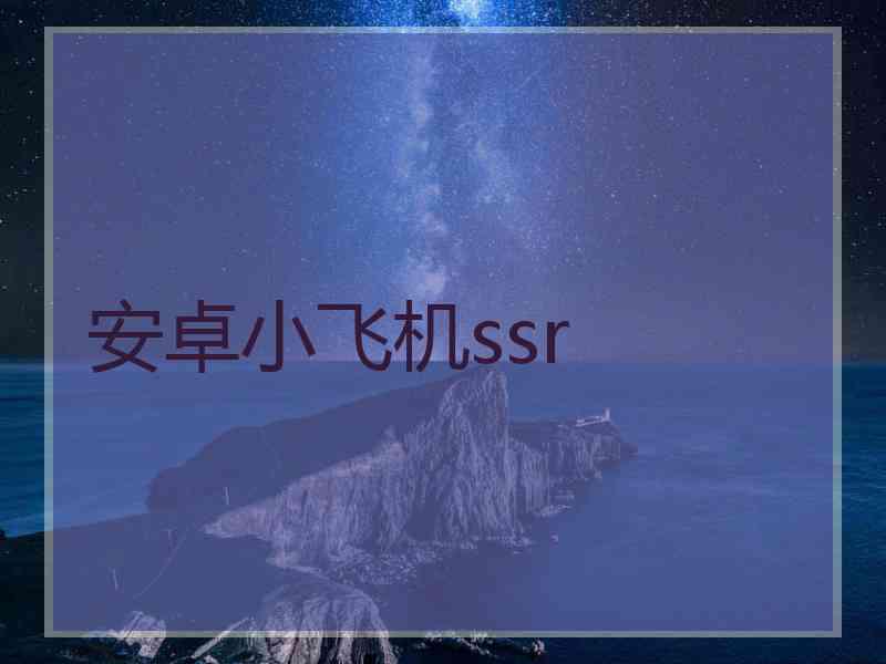 安卓小飞机ssr