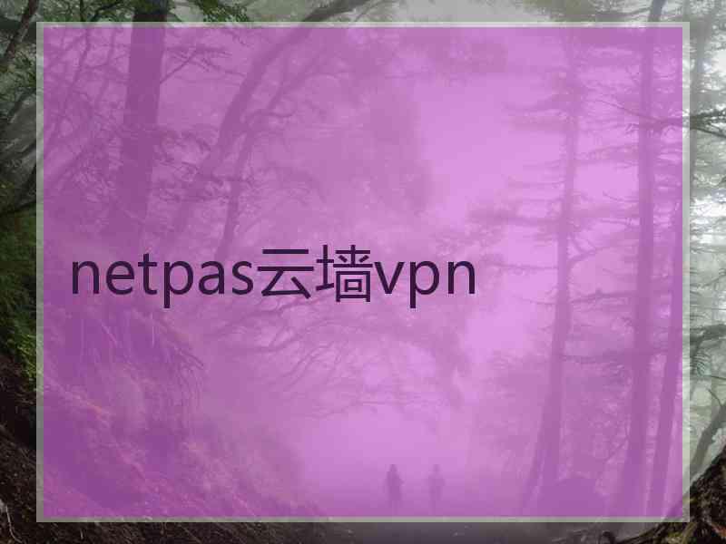 netpas云墙vpn