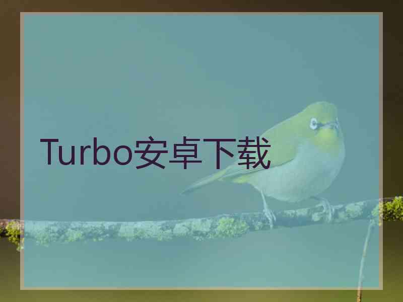 Turbo安卓下载