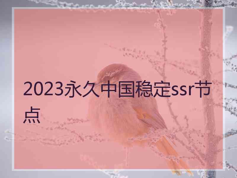 2023永久中国稳定ssr节点