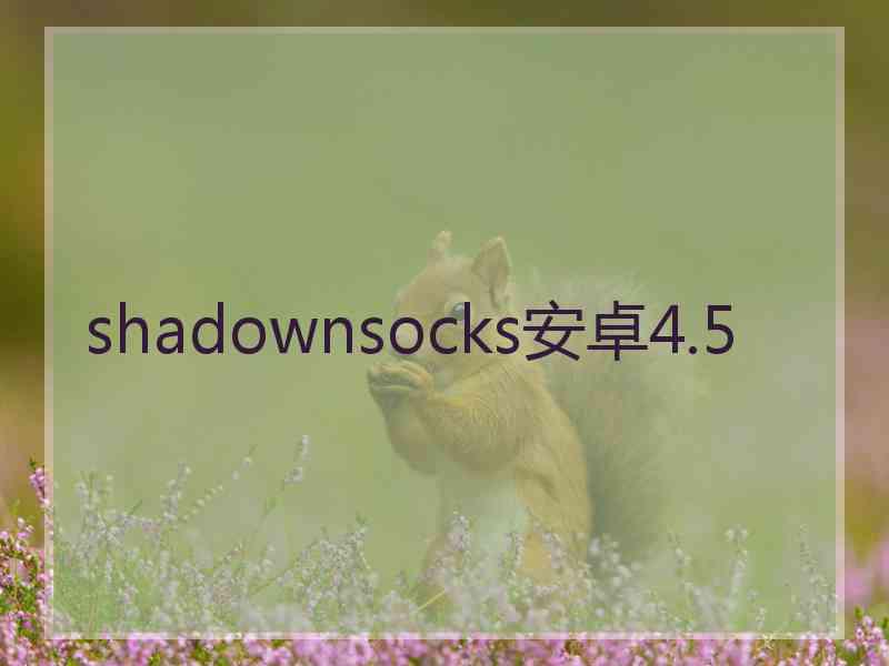 shadownsocks安卓4.5