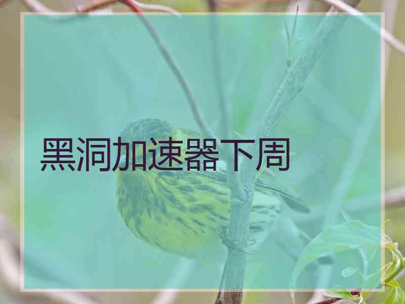 黑洞加速器下周