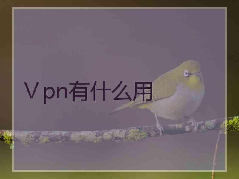 Ⅴpn有什么用