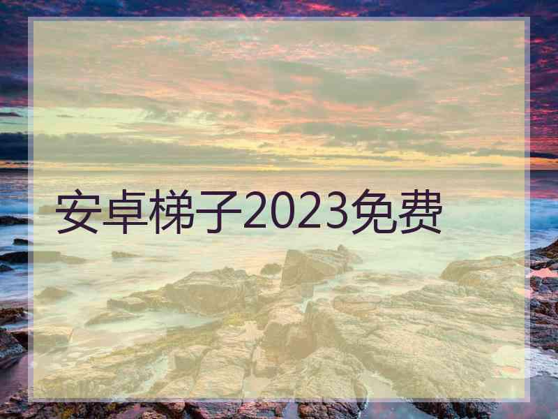 安卓梯子2023免费