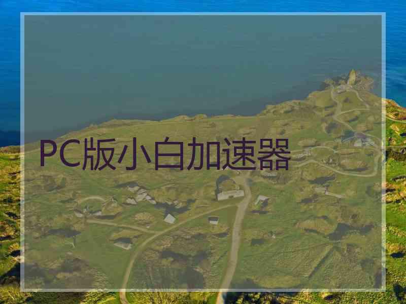 PC版小白加速器