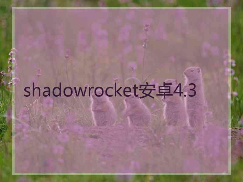 shadowrocket安卓4.3