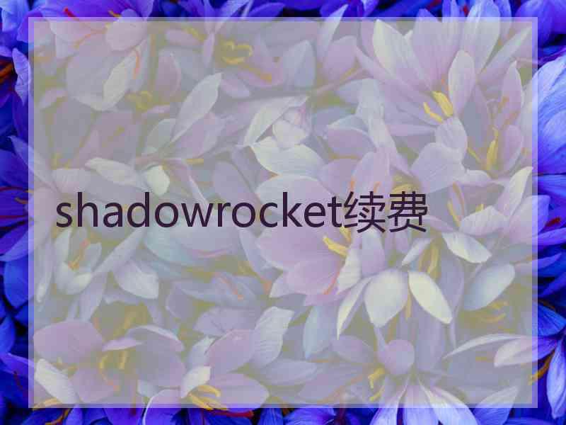 shadowrocket续费